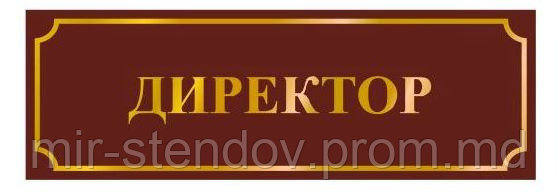 Табличка Директор, фото 1