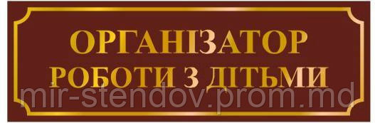 Табличка Организатор работы с детьми, фото 1