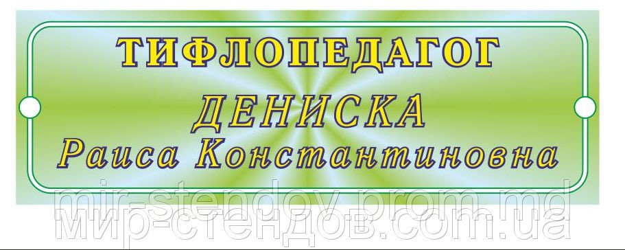 Табличка тифлопедагог, фото 1