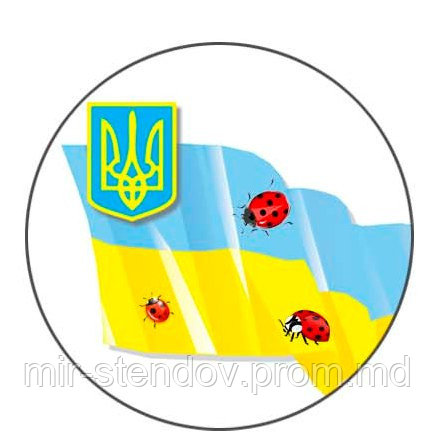 Значок сувенирный флаг Украины божья коровка - фото 1 - id-p4429176