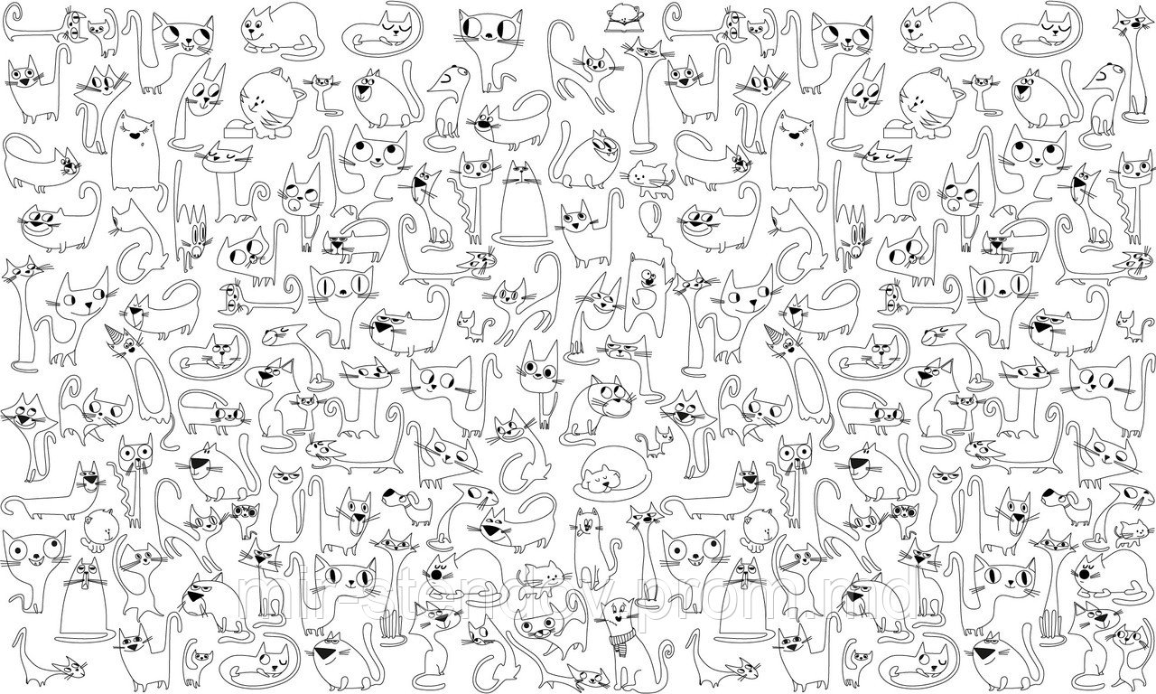 Фото обои - раскраски. 60х100 см Коты, фото 1