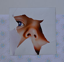 Наклейка на авто Ребёнок в машине