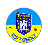 Значок сувенирный Житомир. Герб города, фото 2