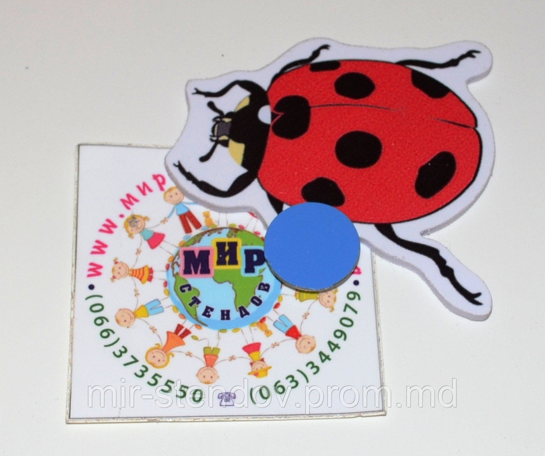 Магнитный стенд для крепления рисунка Божья коровка, фото 1