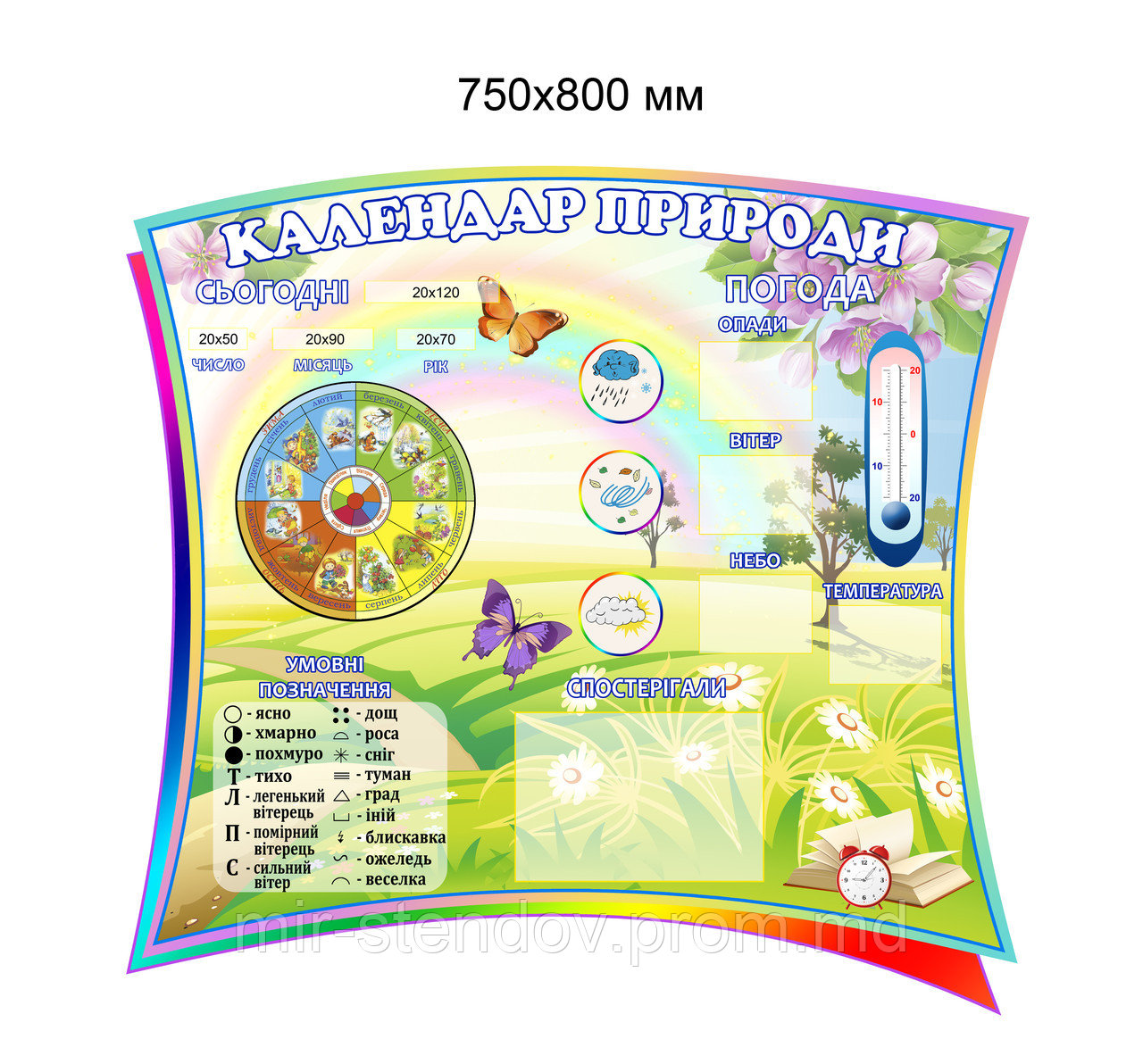 Уголок природы для школы Поляна чудес, фото 1