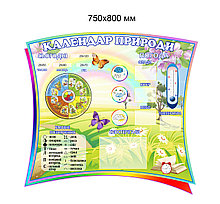 Уголок природы для школы Поляна чудес