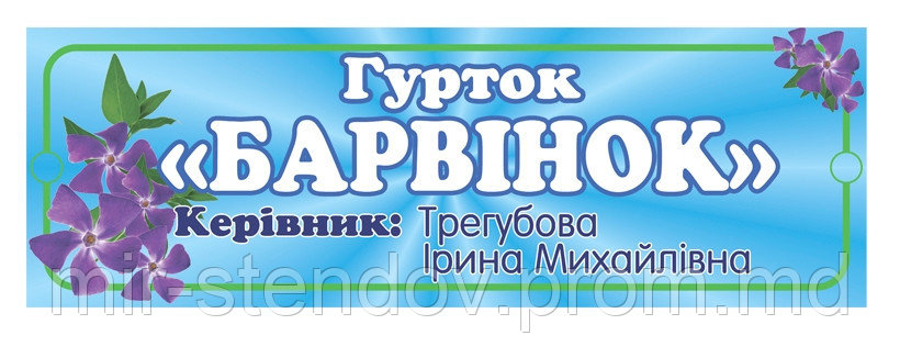 Табличка для групи Барвинок с именем воспитателя, фото 1