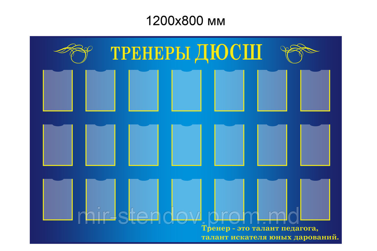 Стенд для спортивного зала Тренеры, фото 1