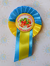 Значок Первоклассник с розеткой. Именной