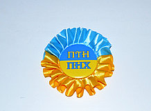 Значок ПТН-ПНХ с розеткой Символика