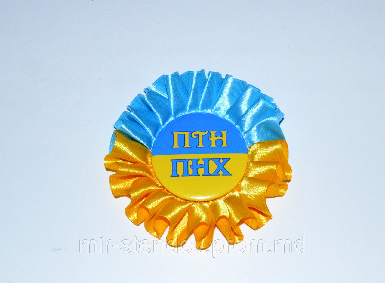 Значок ПТН-ПНХ с розеткой Символика, фото 1