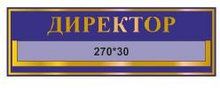 Табличка с карманом Директор
