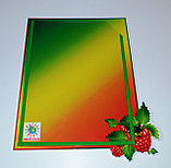 Стенд земляничка, фото 2