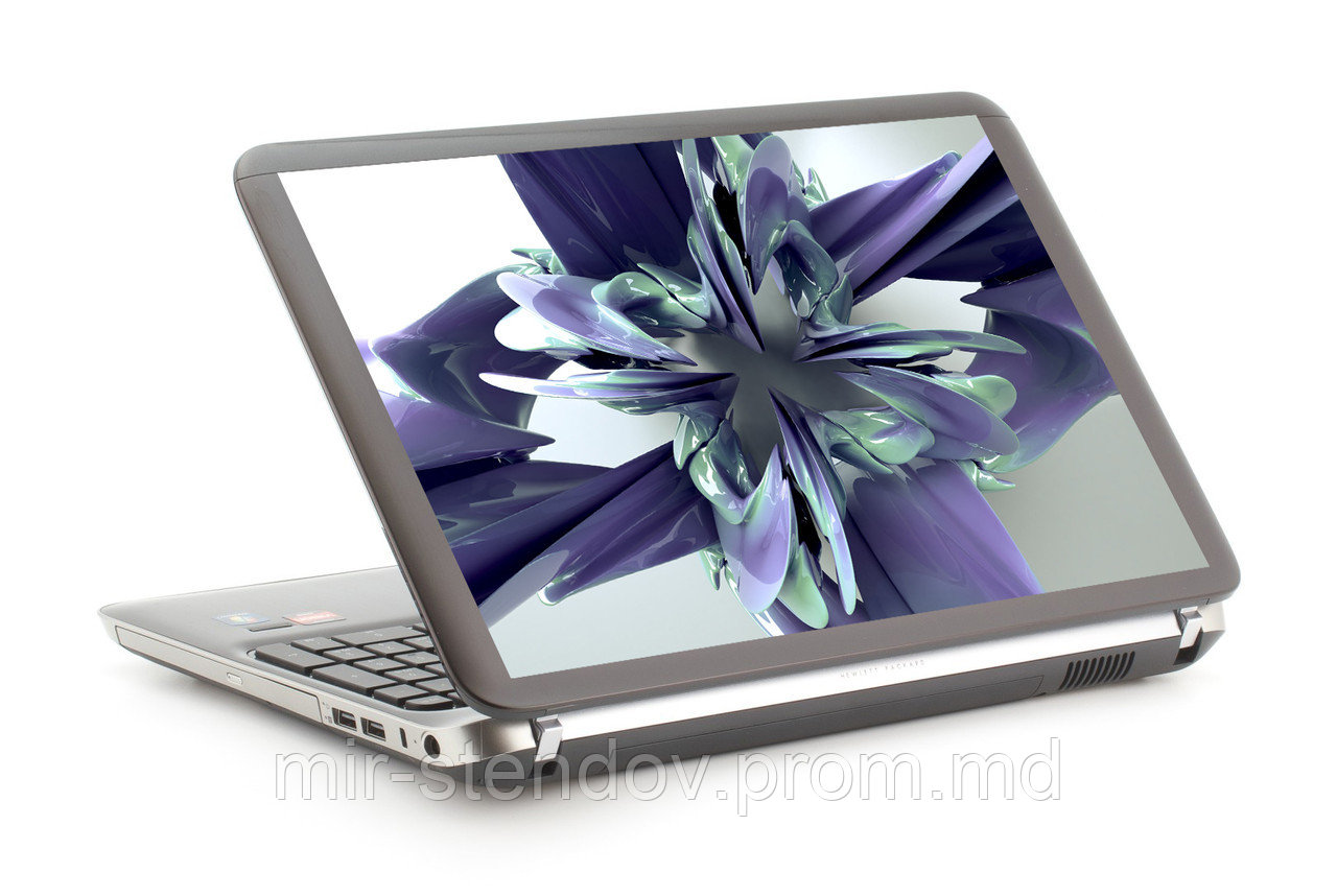 Наклейка на ноутбук. Бант, фото 1