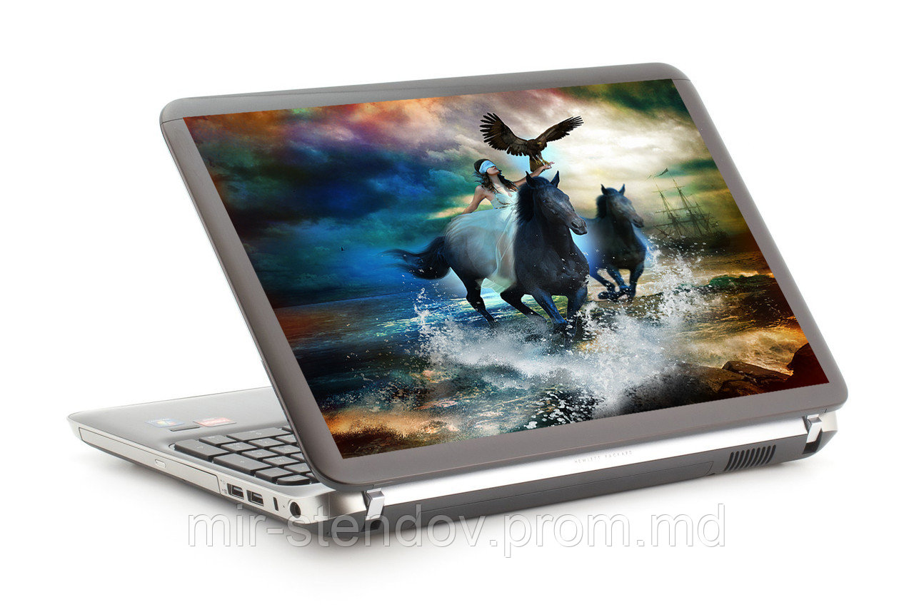 Наклейка на ноутбук. Кони, фото 1
