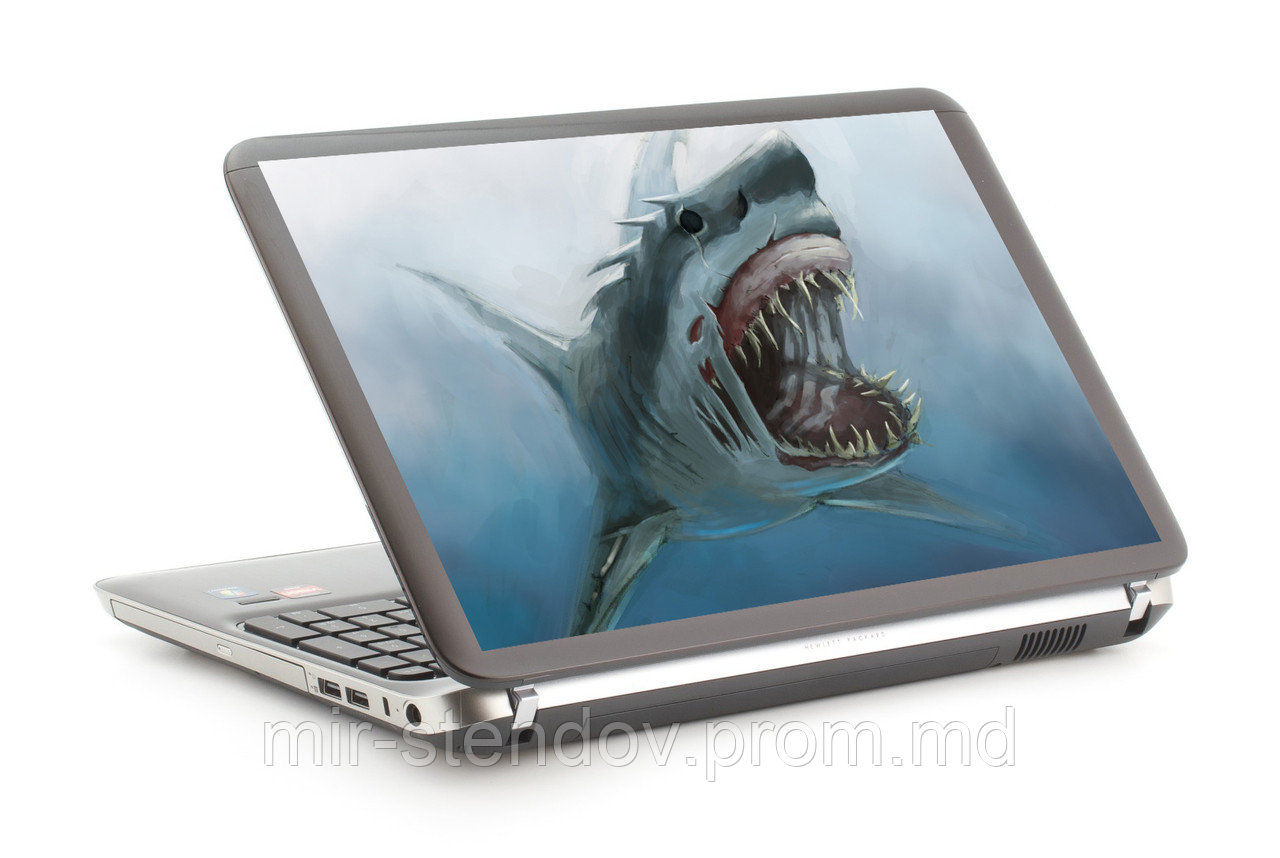 Наклейка на ноутбук. Акула, фото 1