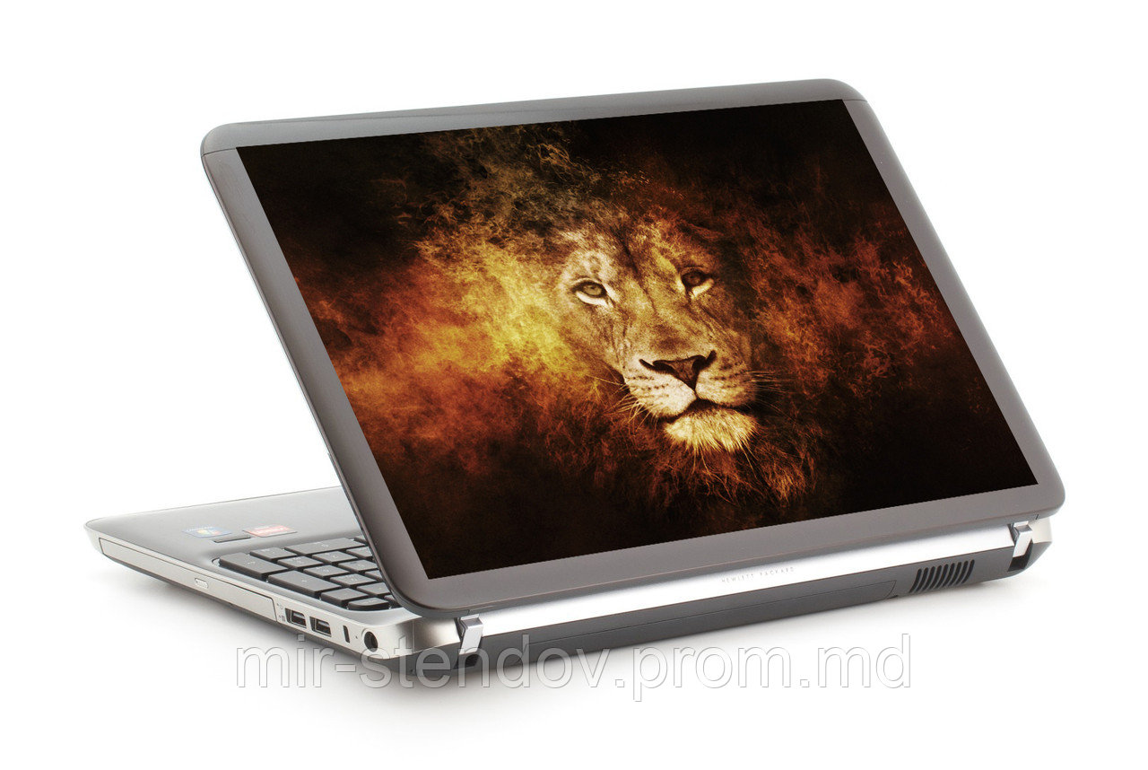 Наклейка на ноутбук. Лев, фото 1