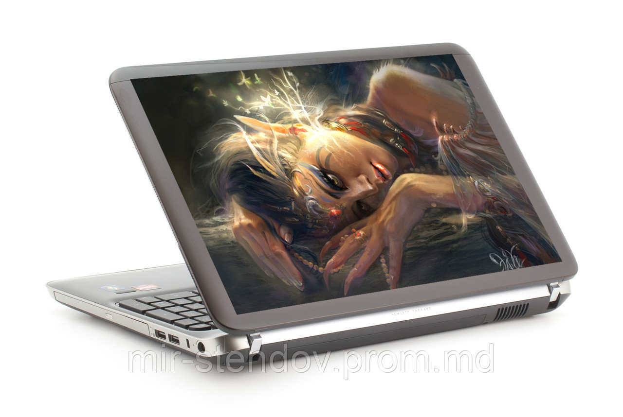 Наклейка на ноутбук. Эльф, фото 1