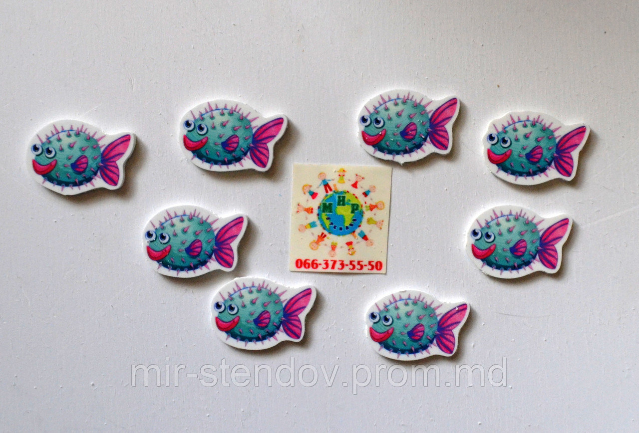 Магнитик канцелярский Рыбки - фото 1 - id-p4432160