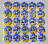 Значки Для лицея международных отношений. Именной, фото 2