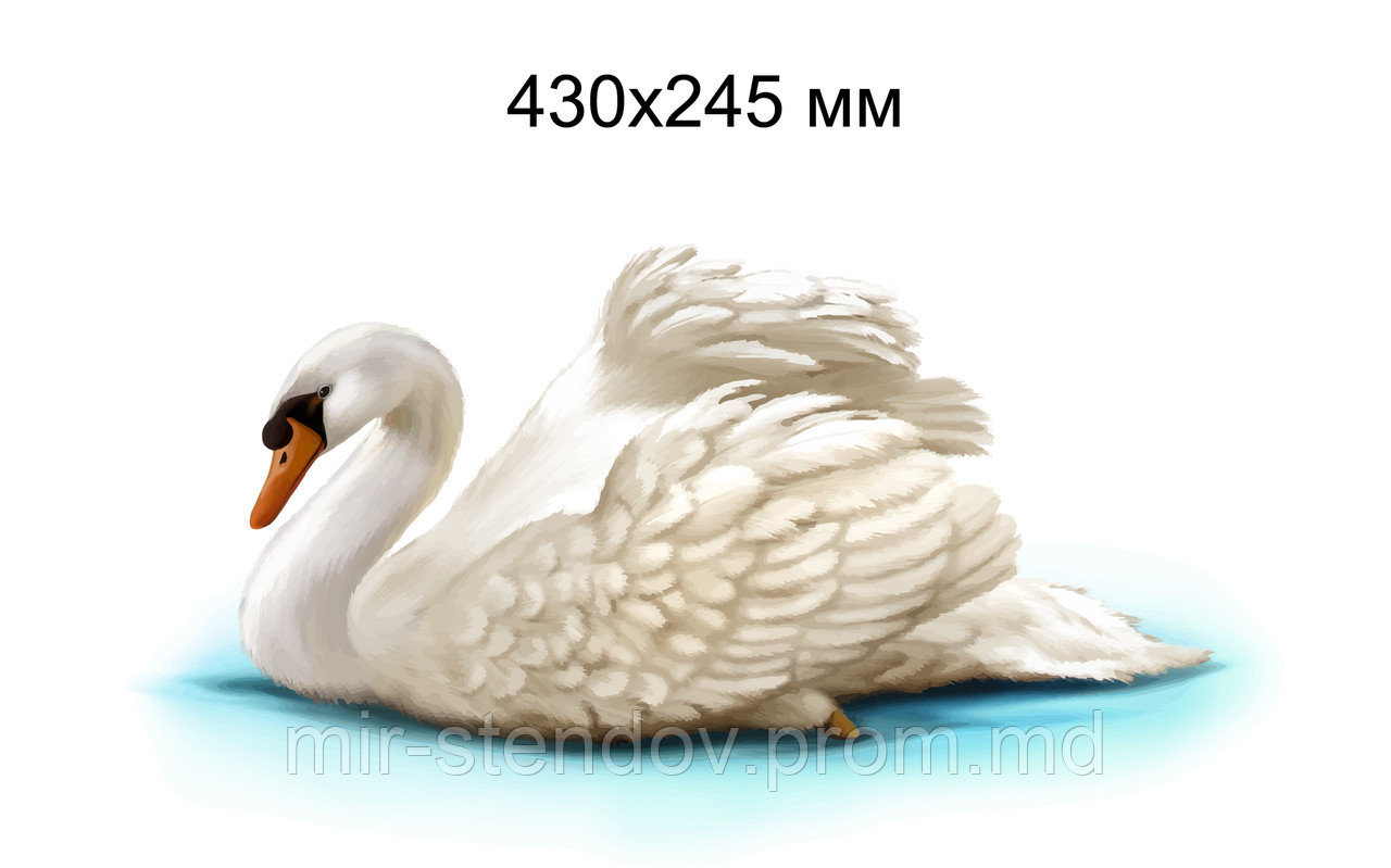 Лебедь. Настенная декорация для детского сада., фото 1