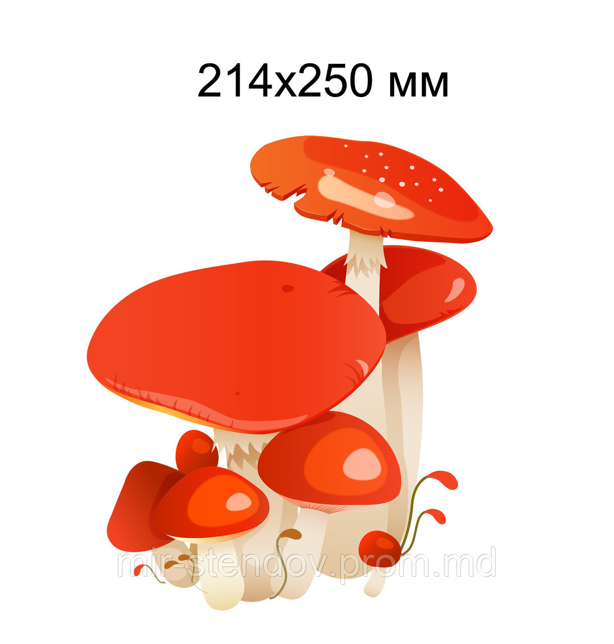 Грибы подосинновики. Настенная декорация для детского сада., фото 1