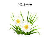 Ромашки. Настенная декорация для детского сада., фото 2