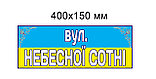 Вулична табличка - вулиця Небесної сотні (Патриотическая), фото 2