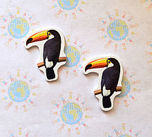 Тукан. Магнит обучающий