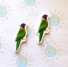 Попугай. Магнит обучающий