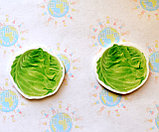 Капуста. Магнит обучающий, фото 2