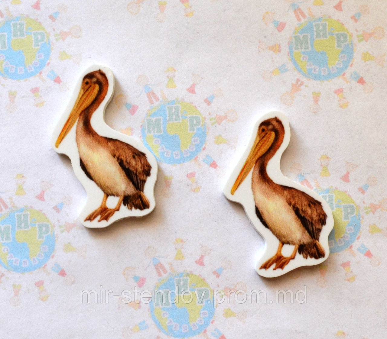 Пеликан. Магнит обучающий, фото 1