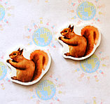 Белка. Магнит обучающий, фото 2