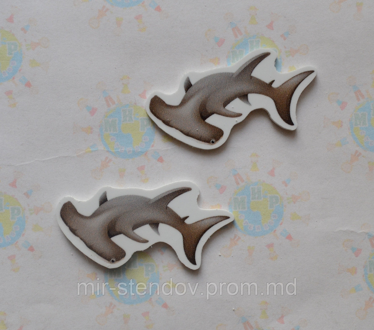 Рыба молот. Магнит обучающий, фото 1