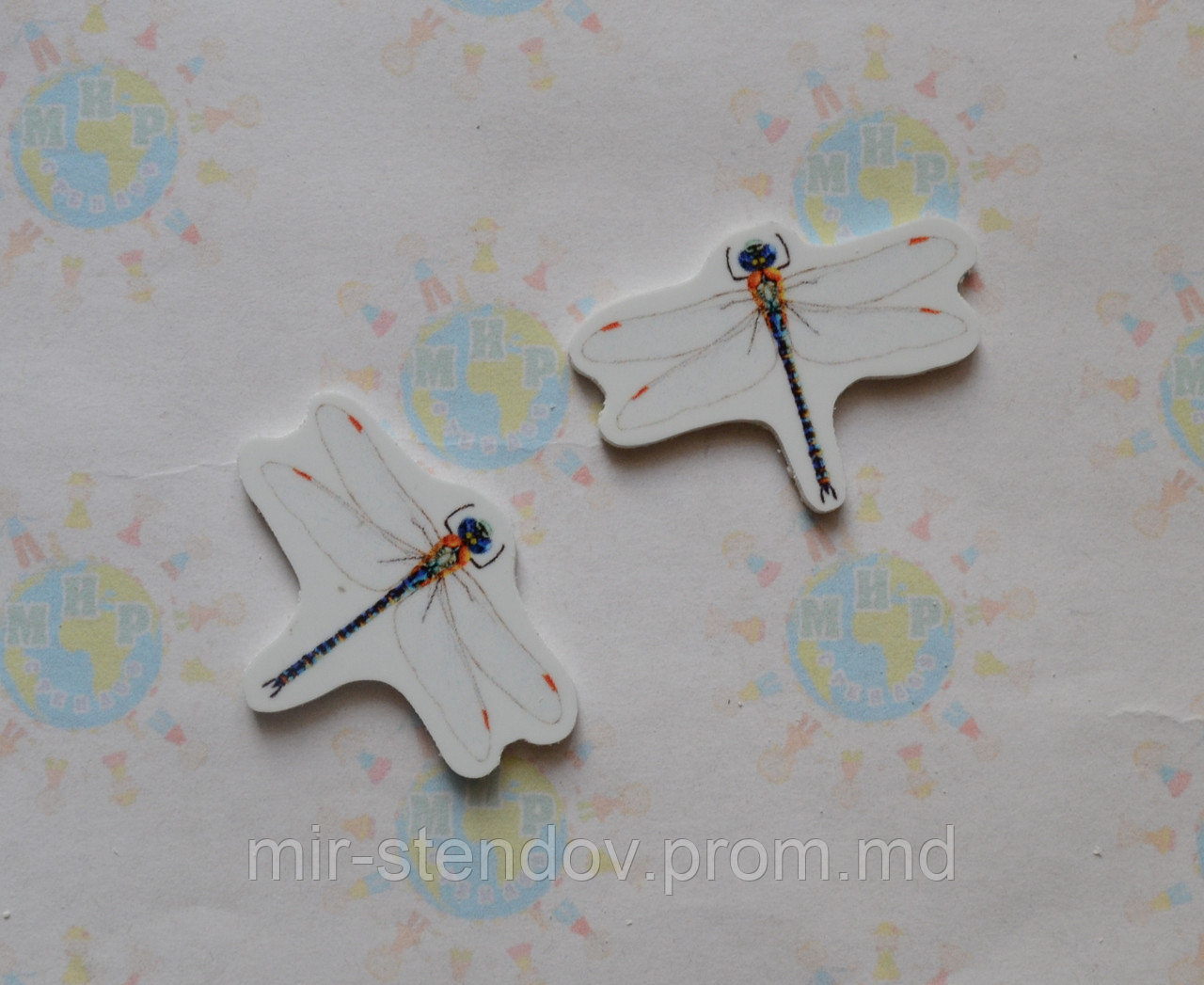 Стрекоза. Магнит обучающий, фото 1