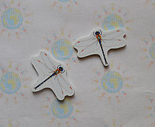 Стрекоза. Магнит обучающий