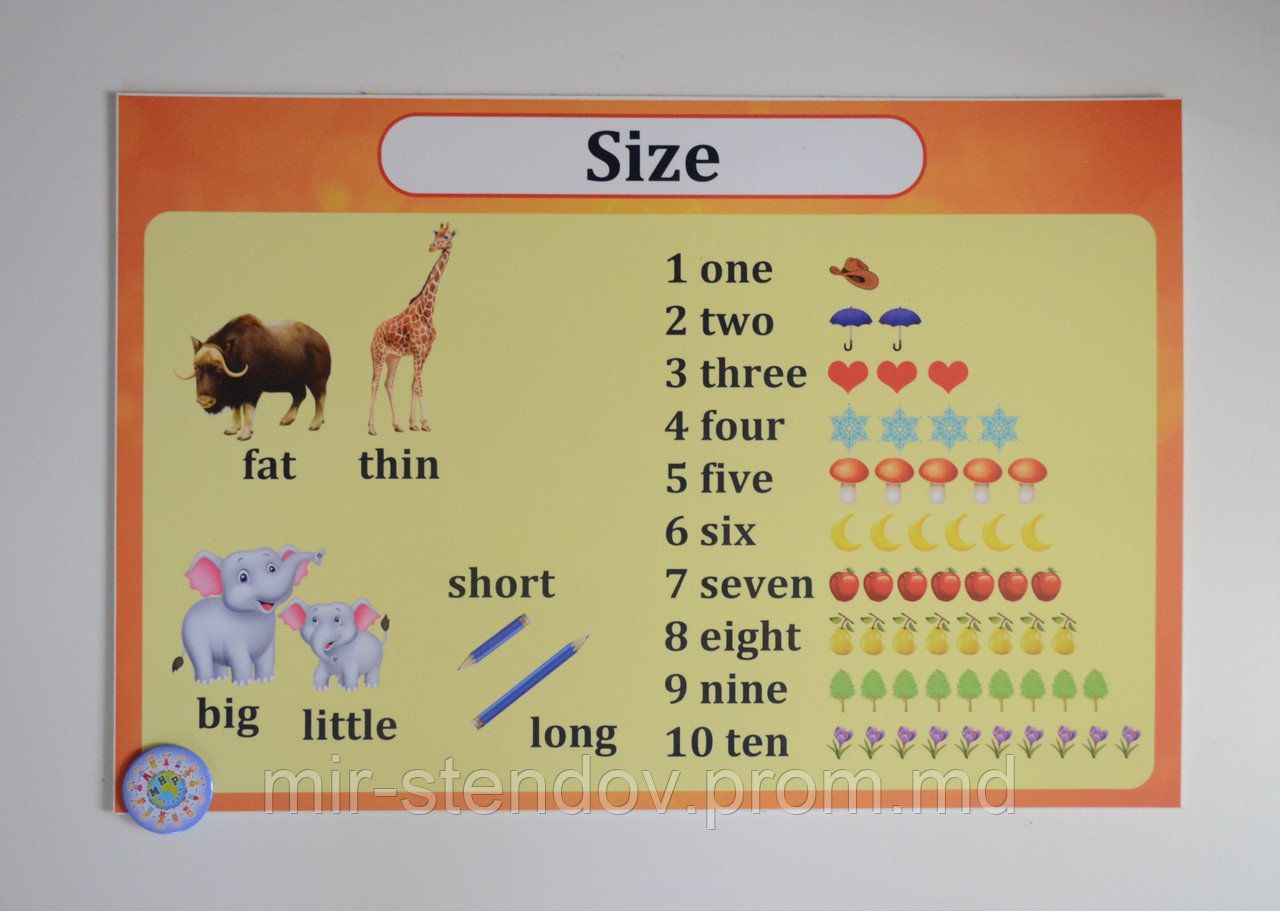 Стенд Учим цифры, фото 1