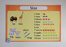 Стенд Учим цифры