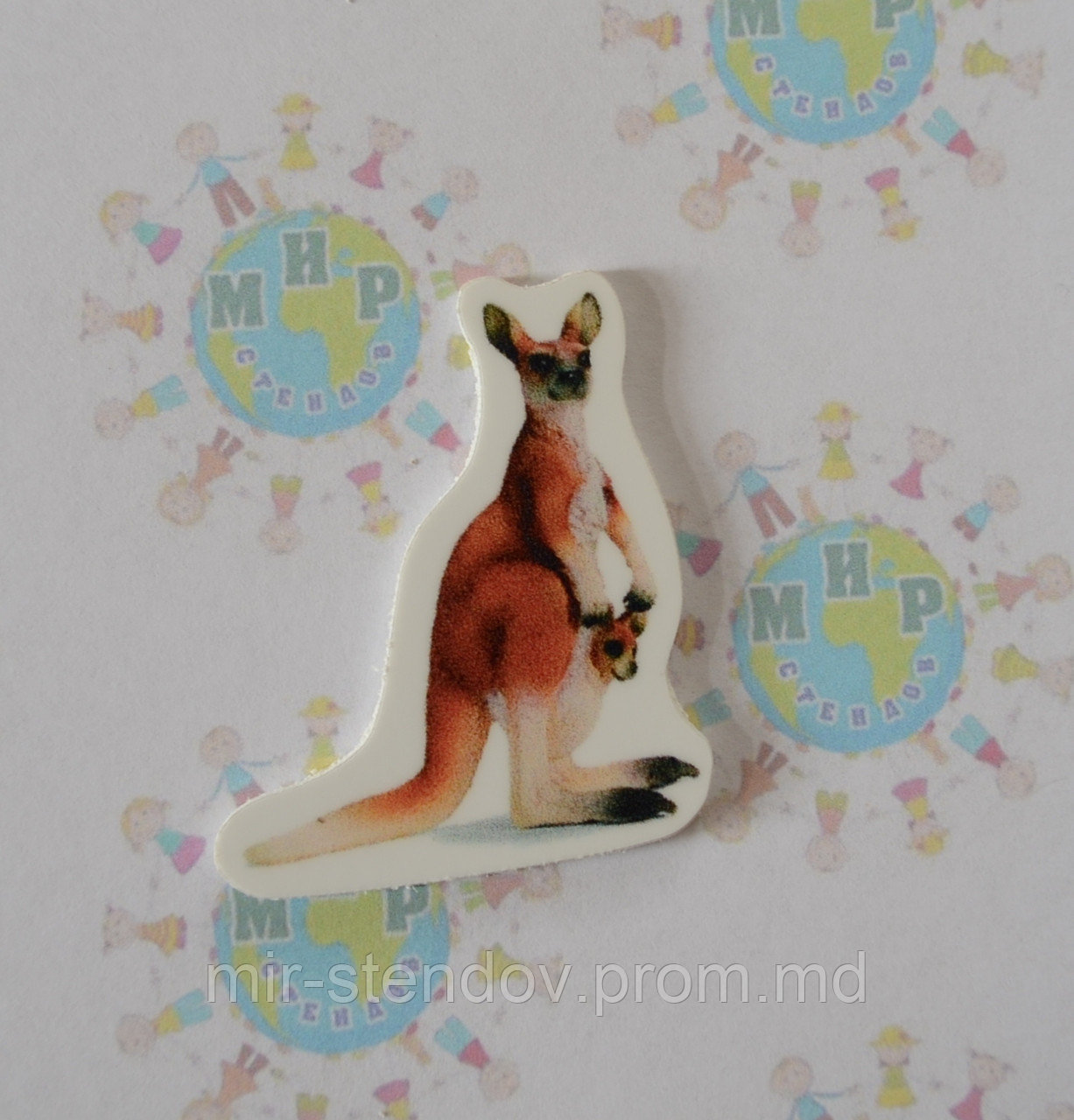 Кенгуру. Магнит обучающий, фото 1