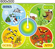 Календарь природы Времена года