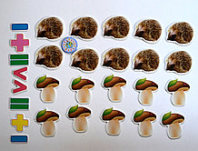 Магнитная математика Ёжики и Грибочки