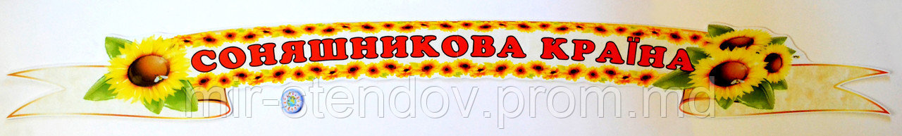 Візитна картка Соняшникова країна - фото 1 - id-p4436702
