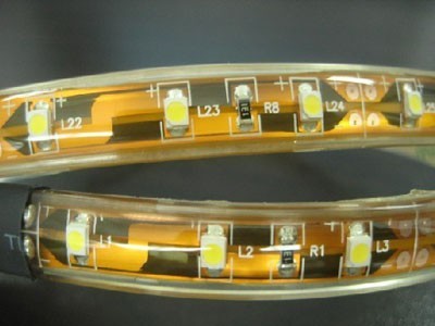 Светодиодные ленты WD-Strip-S3-60-IP68 - фото 1 - id-p23944