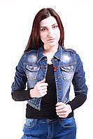 Куртка женская полубатал 3369-B-350 (28-33 полубатал) Brand (Copy)