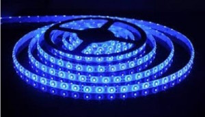 Светодиодная LED лента 5050 Синяя - фото 1 - id-p4506531