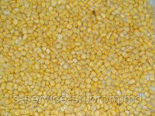 Замороженная кукуруза (зерно) Сербия -IQF sweet corn kernel, Serbia - фото 1 - id-p4726525