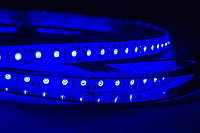 Dilux - Светодиодная лента SMD 3528 120LED/м, негерметичная IP33, синяя.